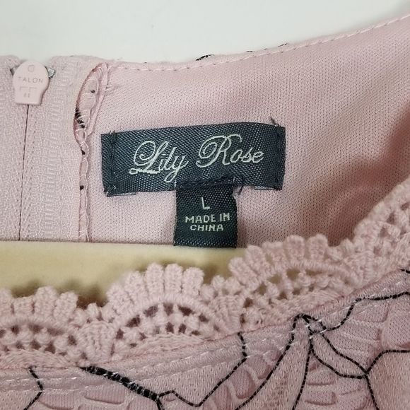 Lace Fit and Flare Dress LILY ROSE Pink/Grey - Picture 8 of 12